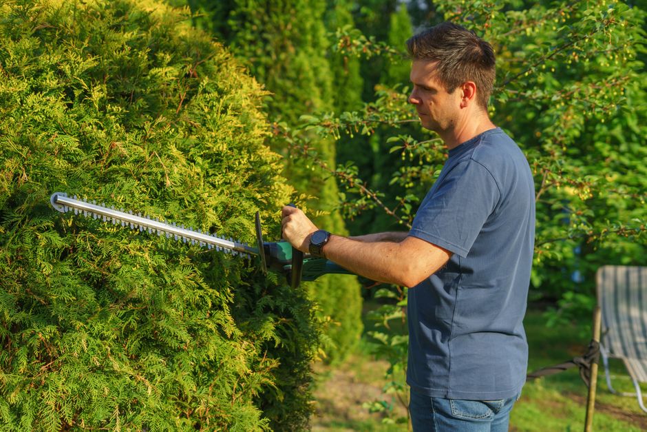 lawn care